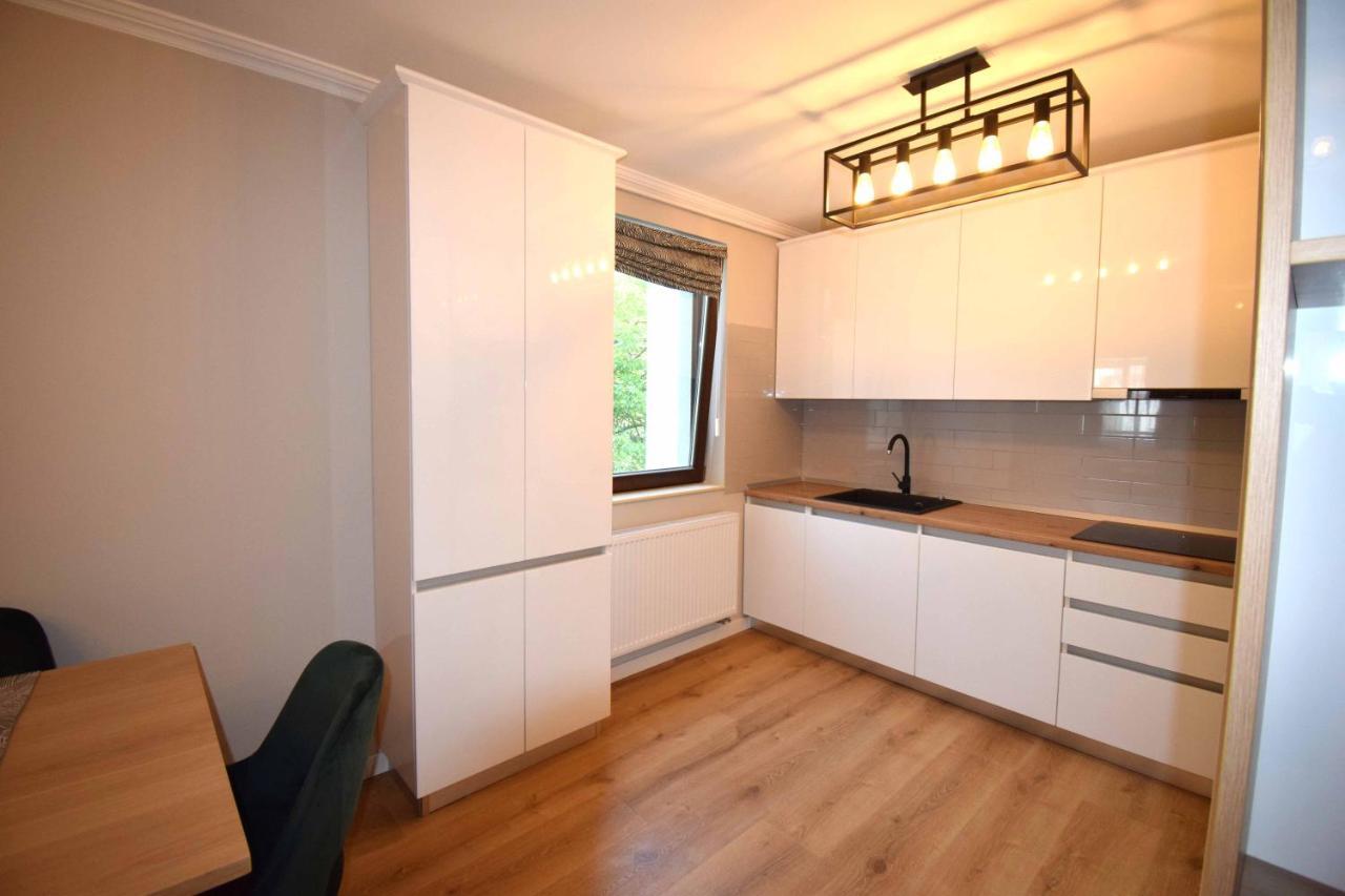 Luxury Apartment Central Târgu-Mureş 外观 照片